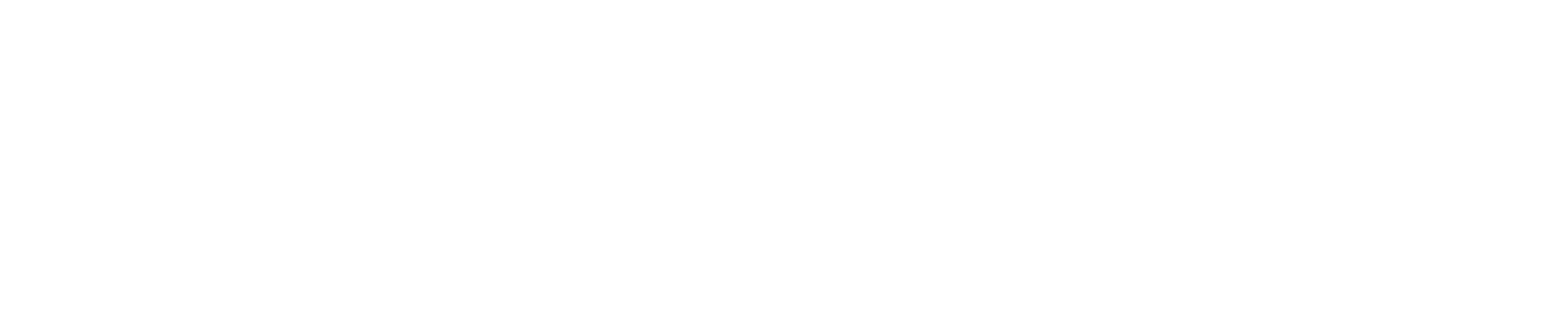 Camino Coaching In The Zone